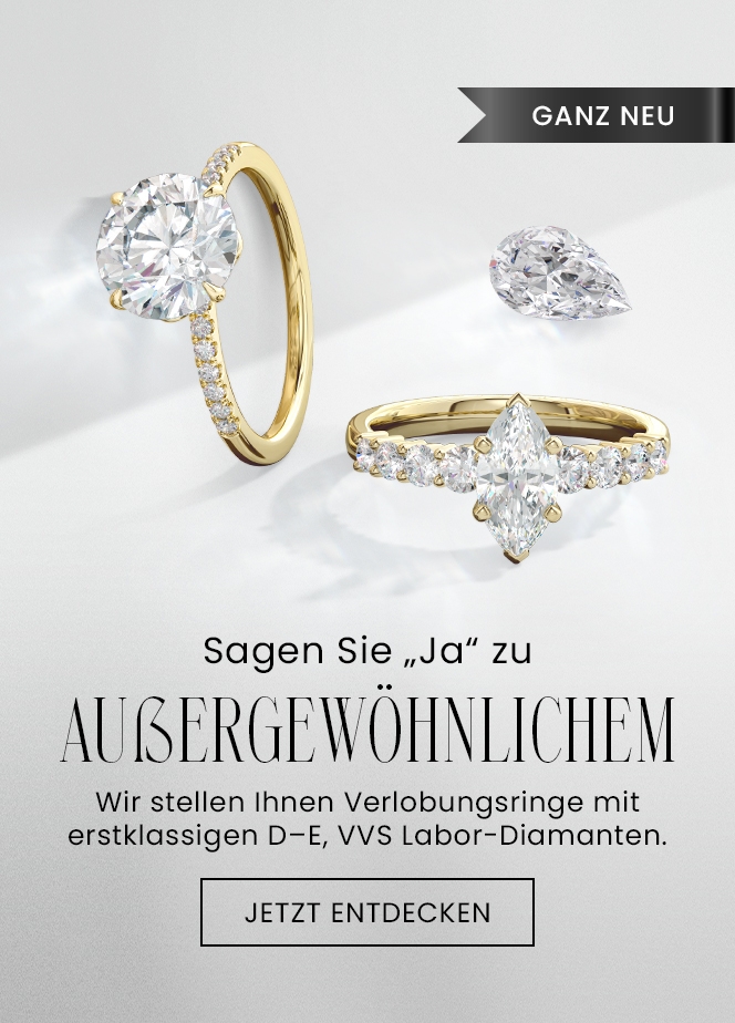 erstes Skelettbanner